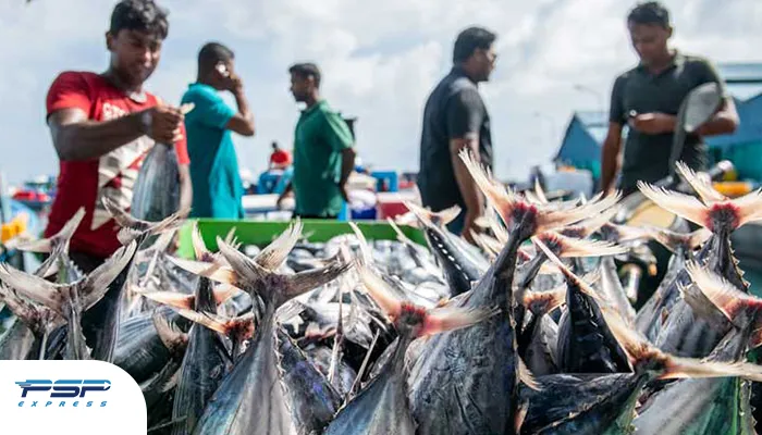صادرات ماهی به دبی