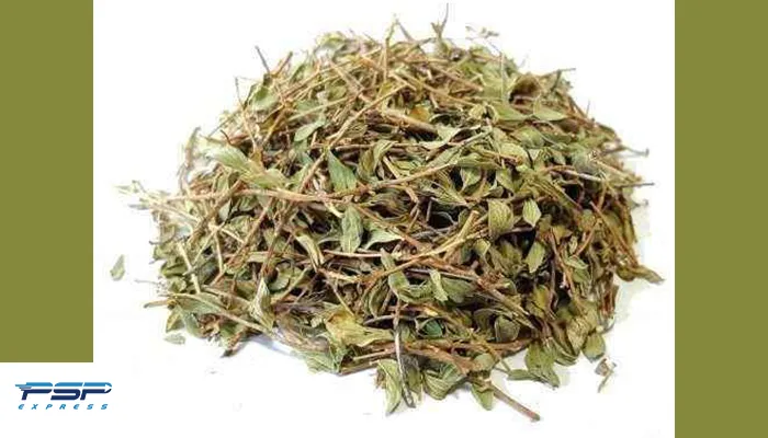 صادرات گیاه کاکوتی