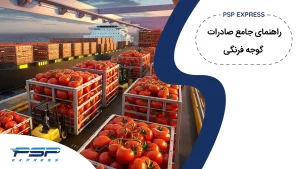 آموزش صادرات گوجه فرنگی