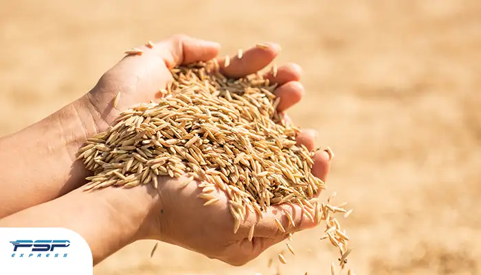 واردات جو دامی