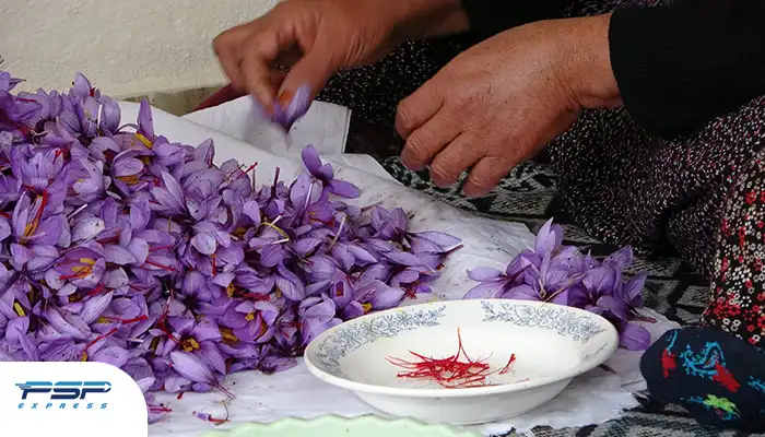 صادرات زعفران به ترکیه