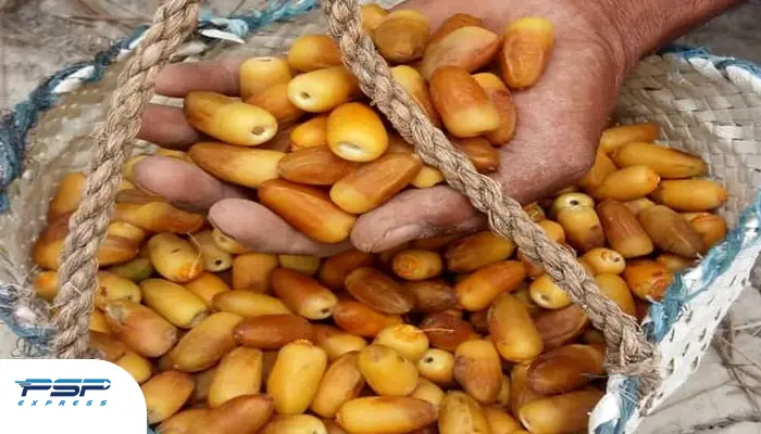 خرمای آلمهتری