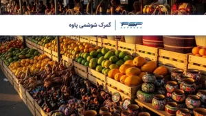 گمرک شوشمی پاوه