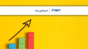 استراتژی رشد